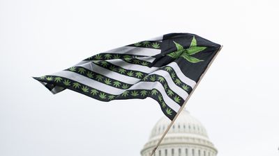 A U.S. flag redesigned with marijuana leaves blows in the wind as DCMJ.org holds a protest in front of the U.S. Capitol on Monday, April 24, 2017, to call on Congress to reschedule the drug classification of marijuana.