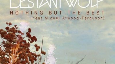 Destani Wolf Wants "Nothing But The Best" With New Single
