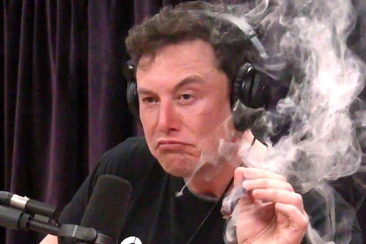 Elon Musk smokes a blunt, allegedly for the first time, on Joe Rogan's podcast.