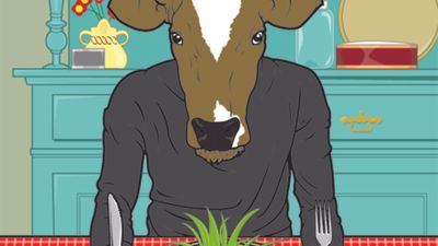 OKP Premiere : All Cows Eat Grass Deliver A Lesson In Progressive Pop & Soul w/ 'The Kool Collection' Remix LP