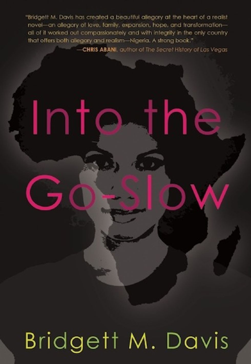 Bridgett M Davis Into The Go Slow Book Cover