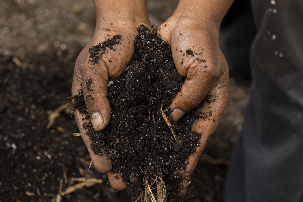 Black farmers hand in dirt